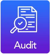 Audit Icon